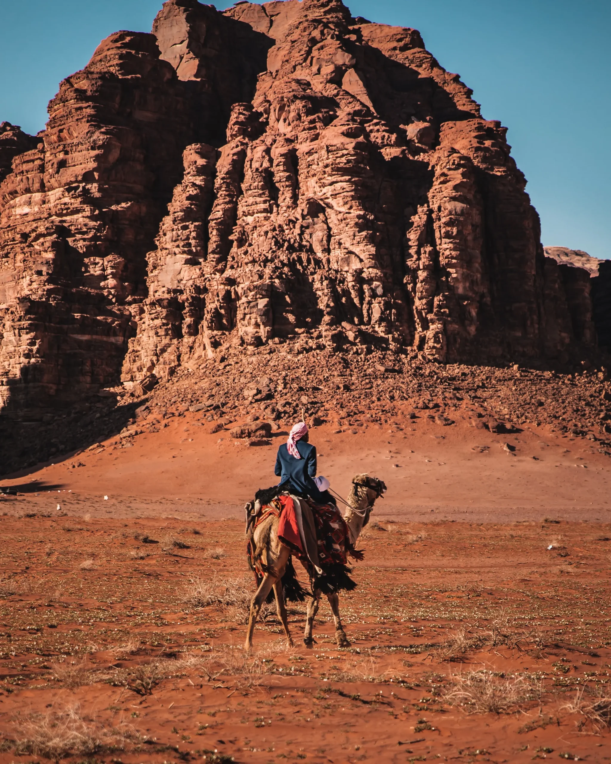 CABO DIMOND-los cabos-camel-destination