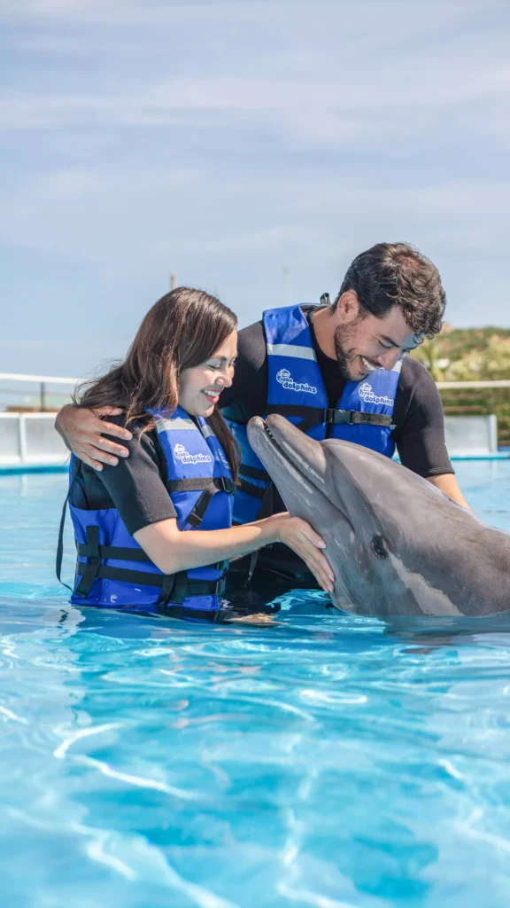 CABO DIMOND-los cabos-dolphins