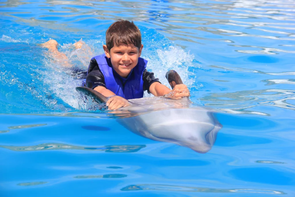 CABO DIMOND-los cabos-dolphins