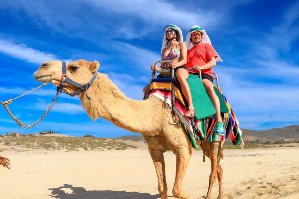 CABO DIMOND-los cabos-camels