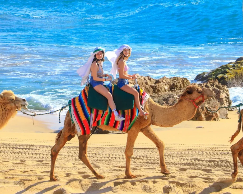 CABO DIMOND-los cabos-camels