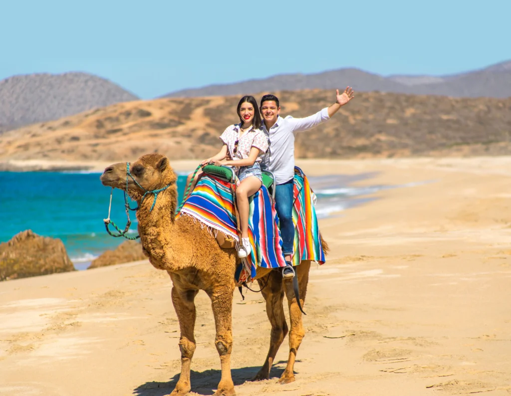 CABO DIMOND-los cabos-camels