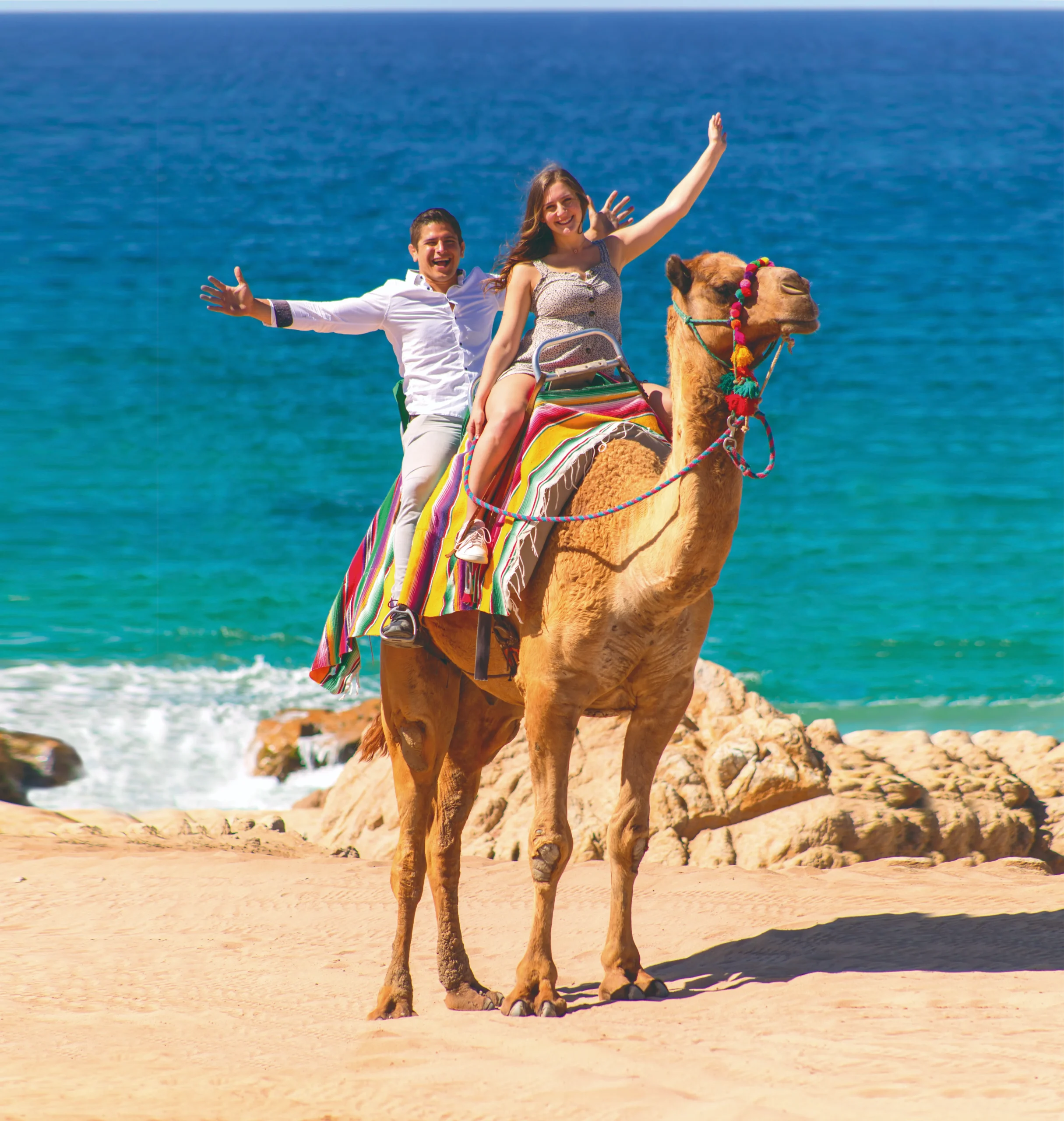 CABO DIMOND-los cabos-camels