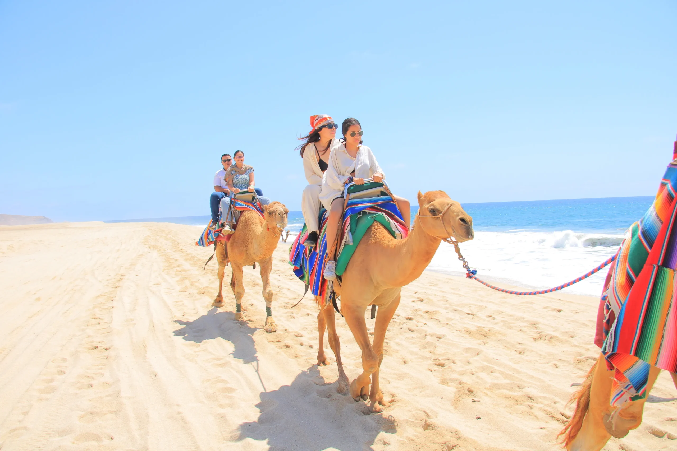 CABO DIMOND-los cabos-camels