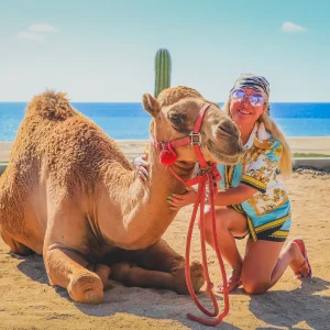 CABO DIMOND-los cabos-camels